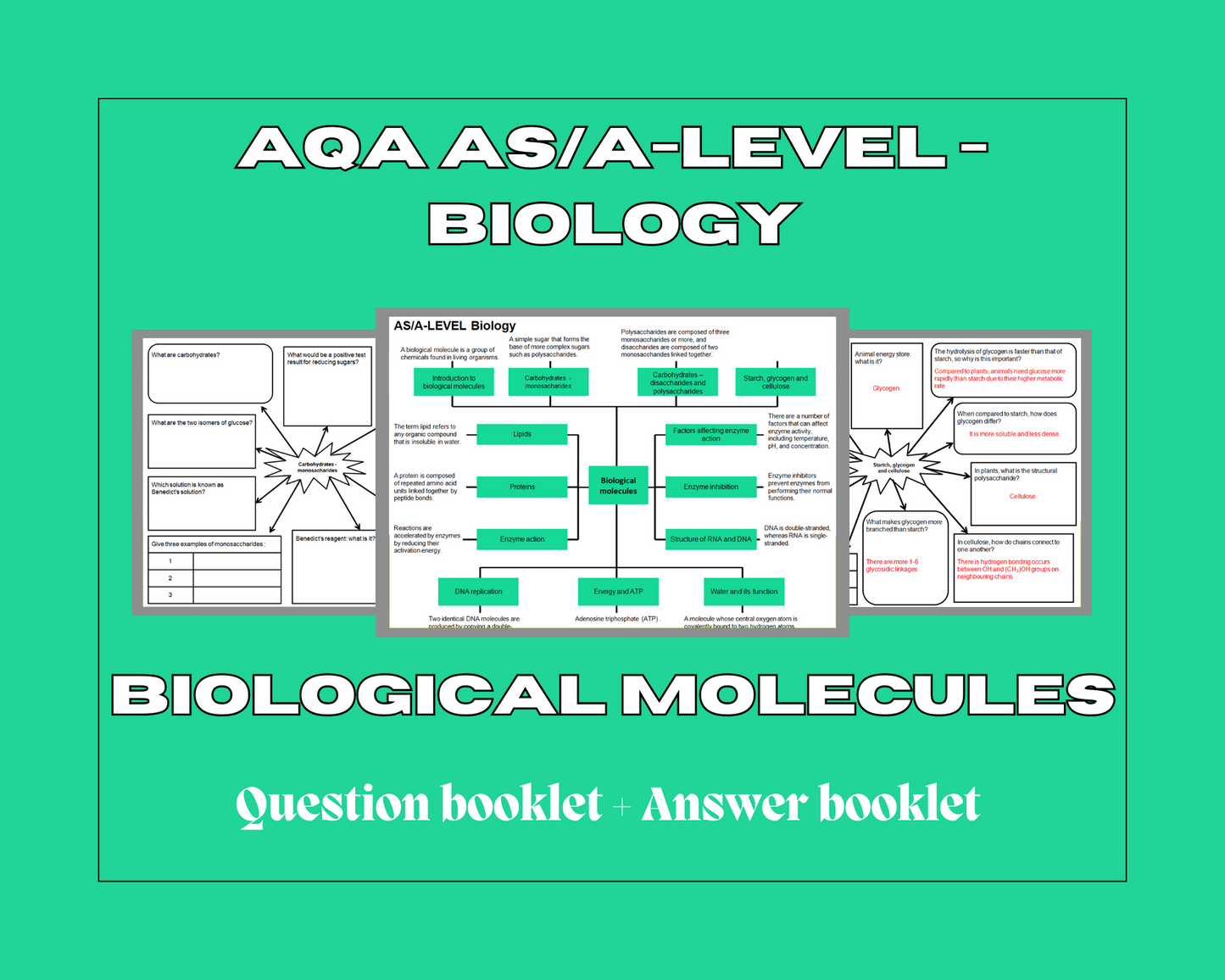 Biological molecules - mind maps