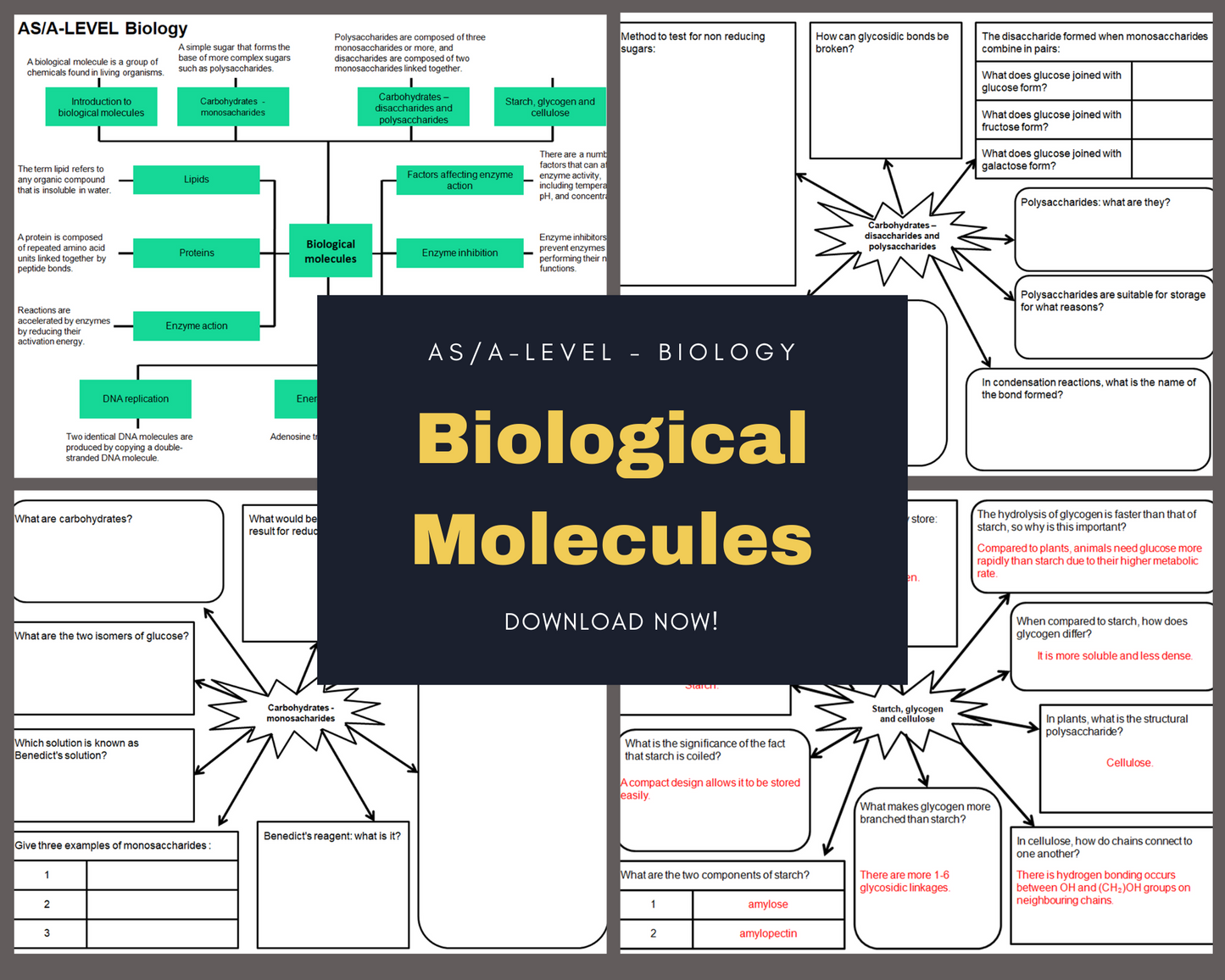 Biological molecules - mind maps