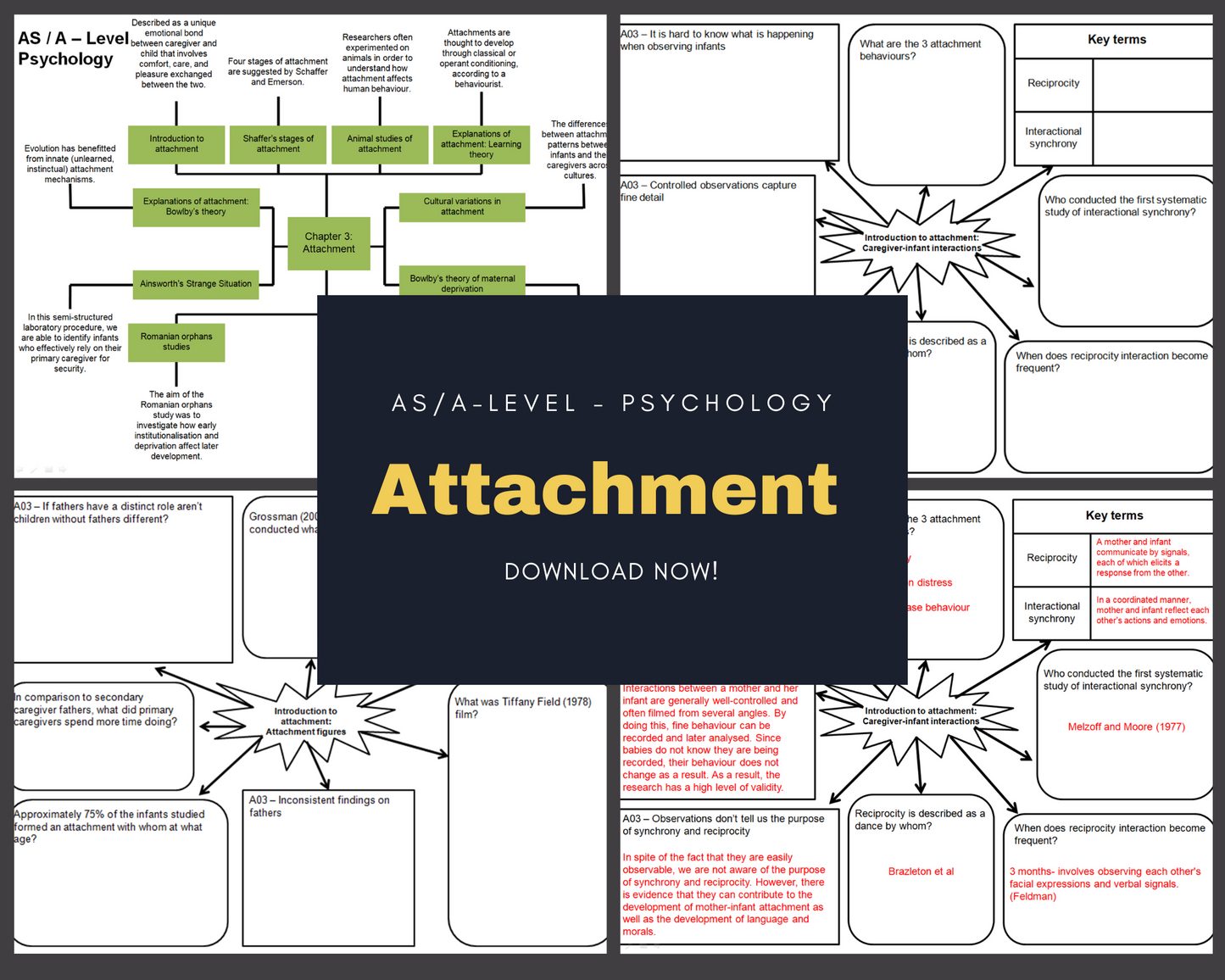 Attachment - Mind Maps