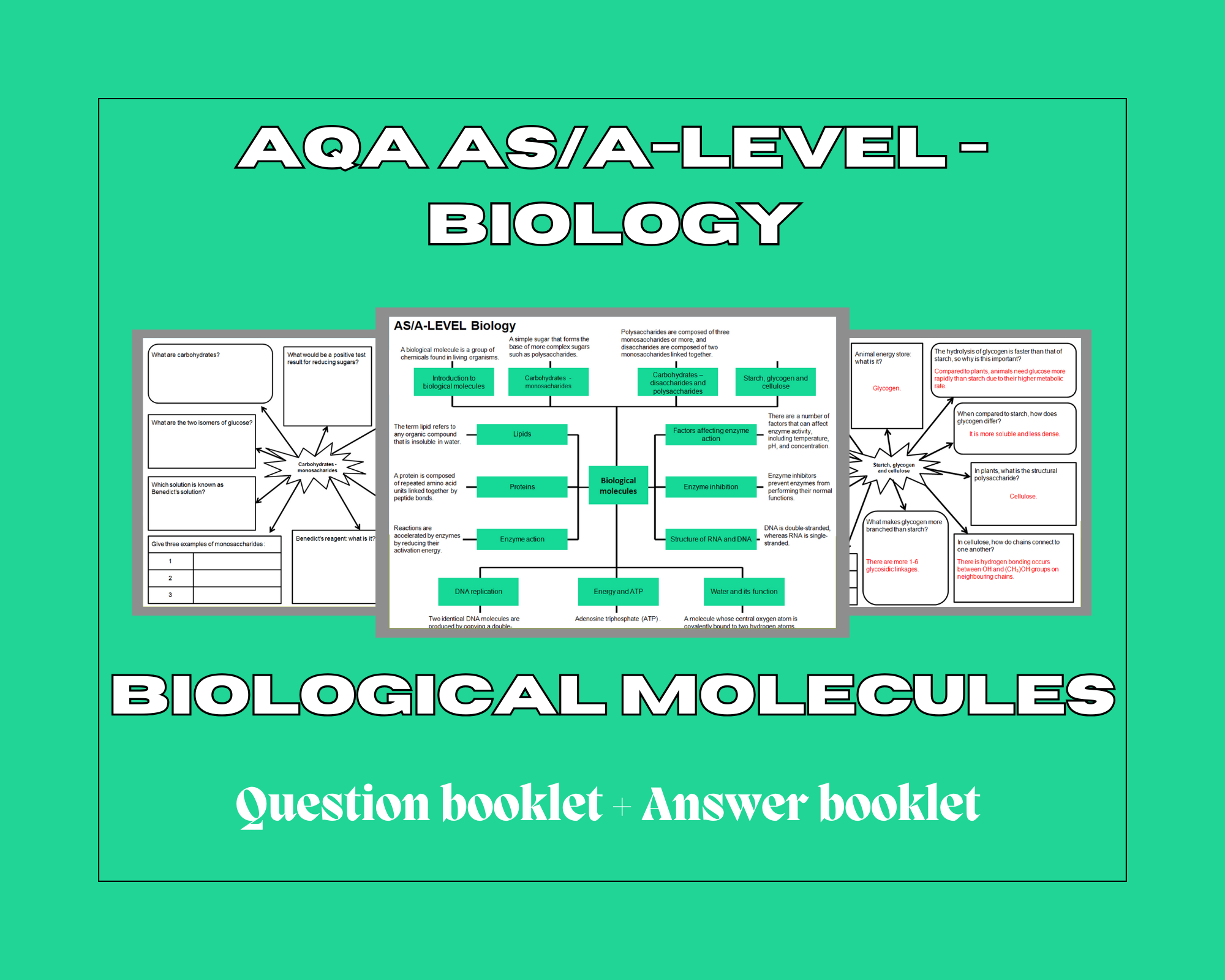 Biological Rationale Map Biological molecules - mind maps – Stockley academia
