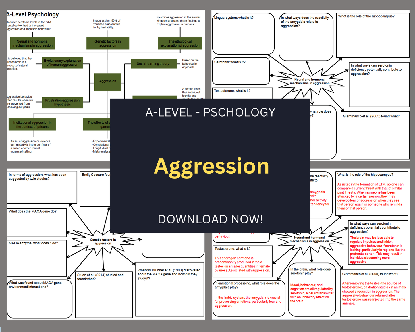 Aggression - Mind Maps