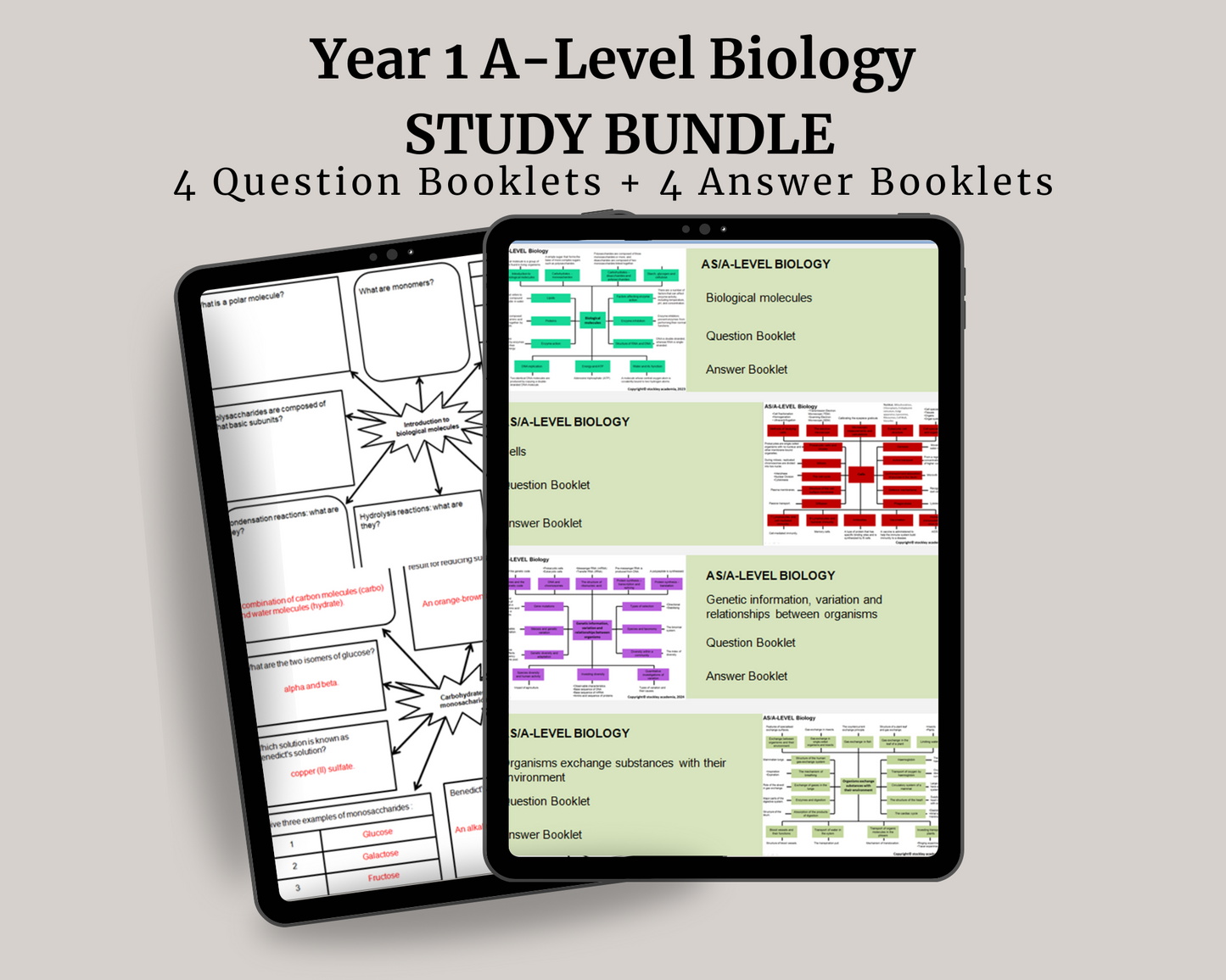 Year 1 A-Level Biology Study Bundle - Mind Maps