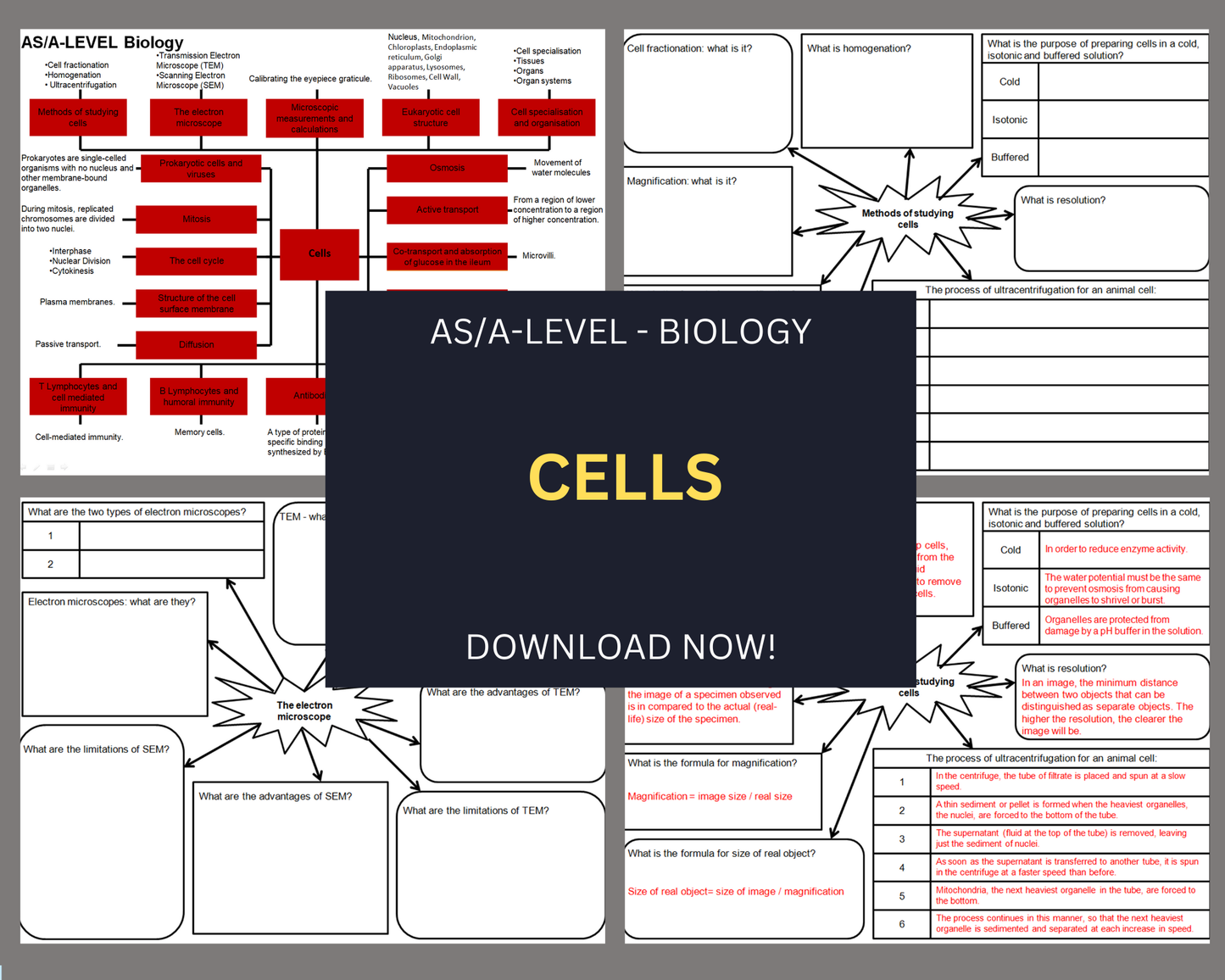 Cells - Mind Maps