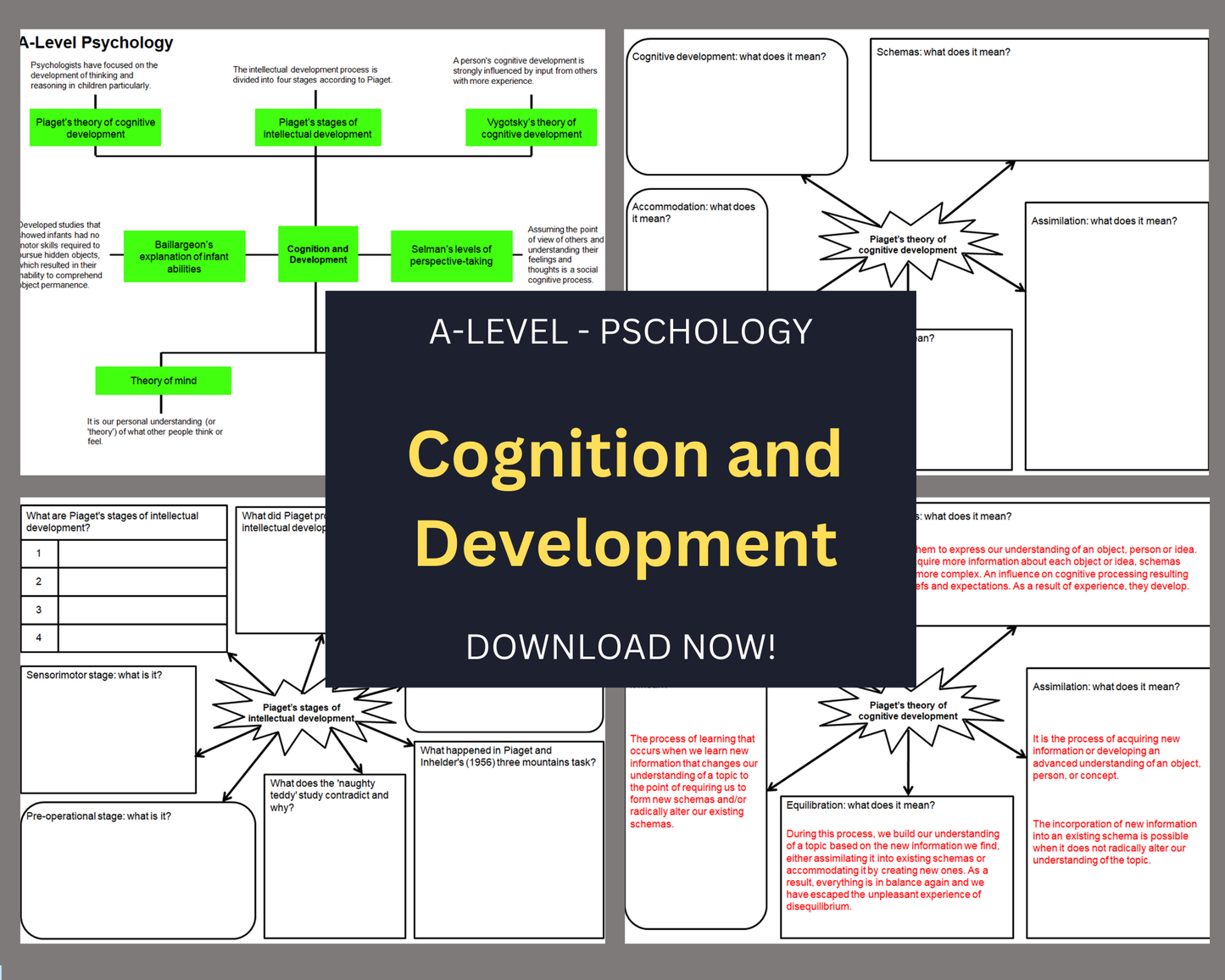 Cognition and Development - Mind Maps