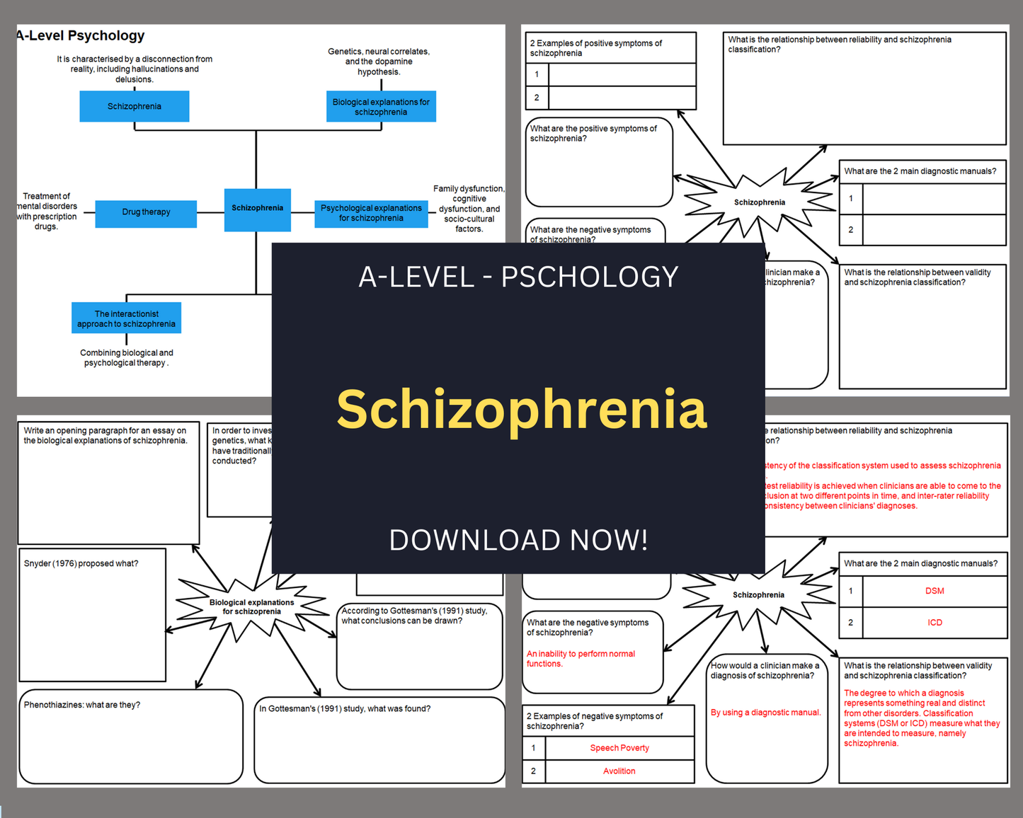 Schizophrenia - Mind Maps