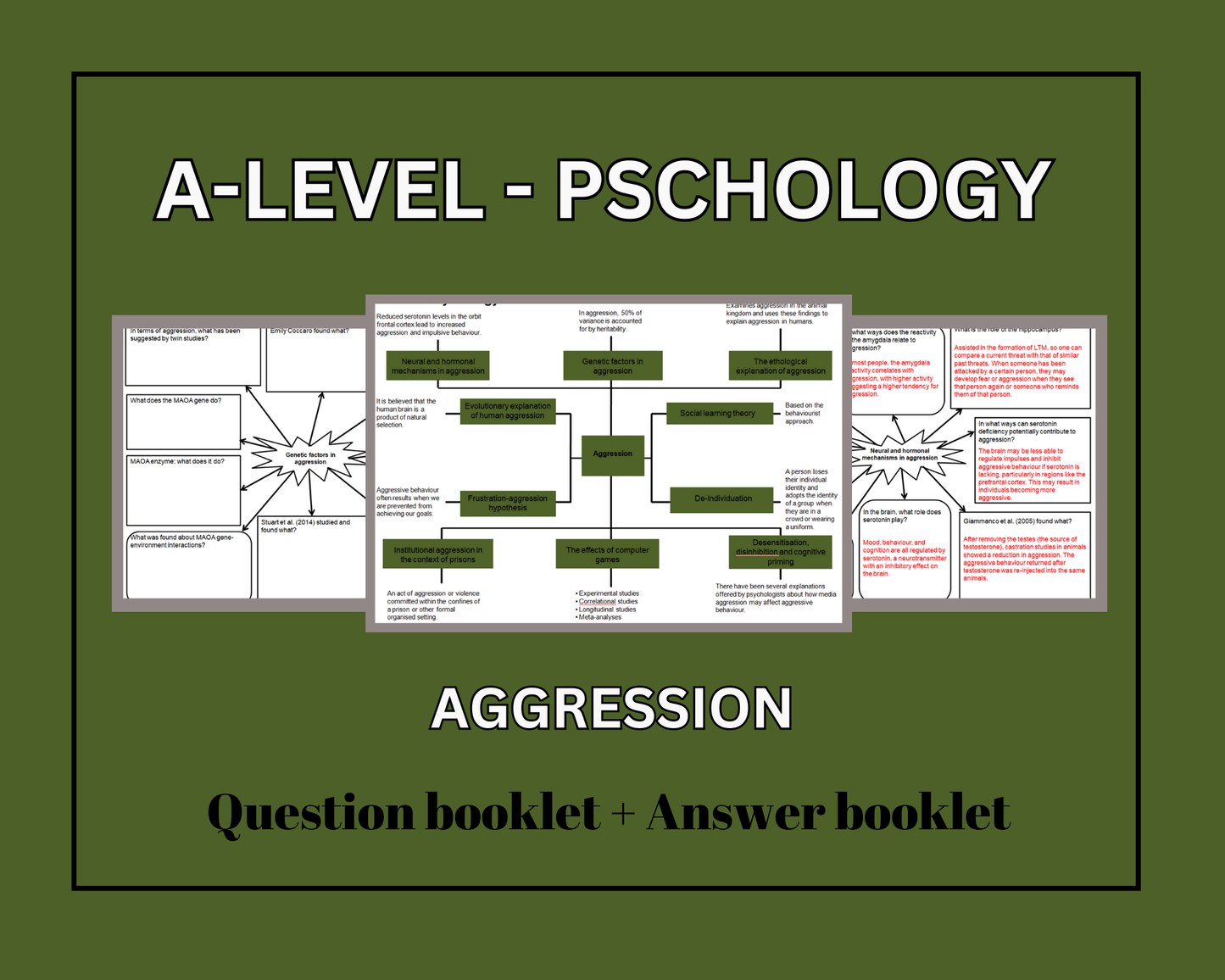 Aggression - Mind Maps