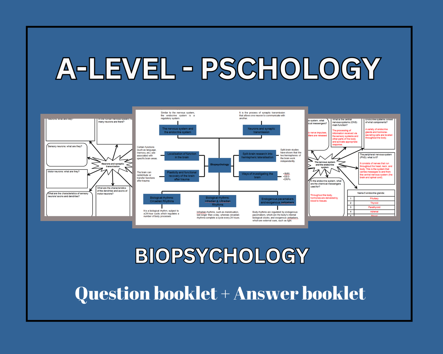 Biopsychology - Mind Maps