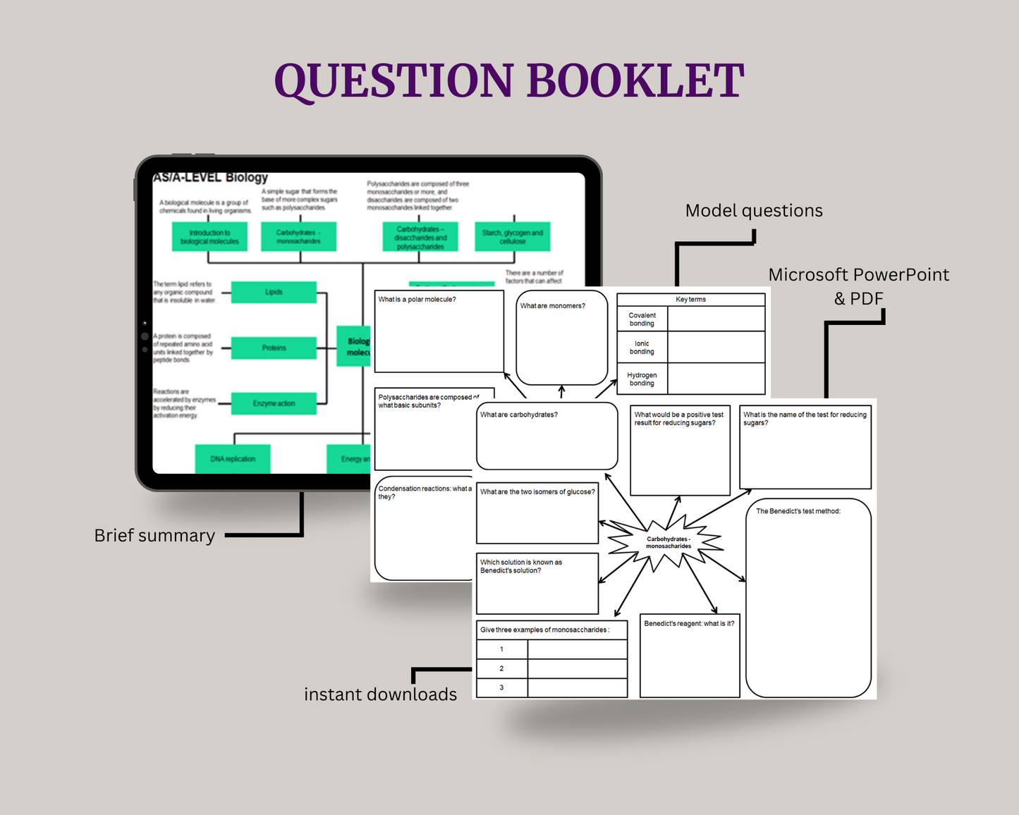 Year 1 A-Level Biology Study Bundle - Mind Maps