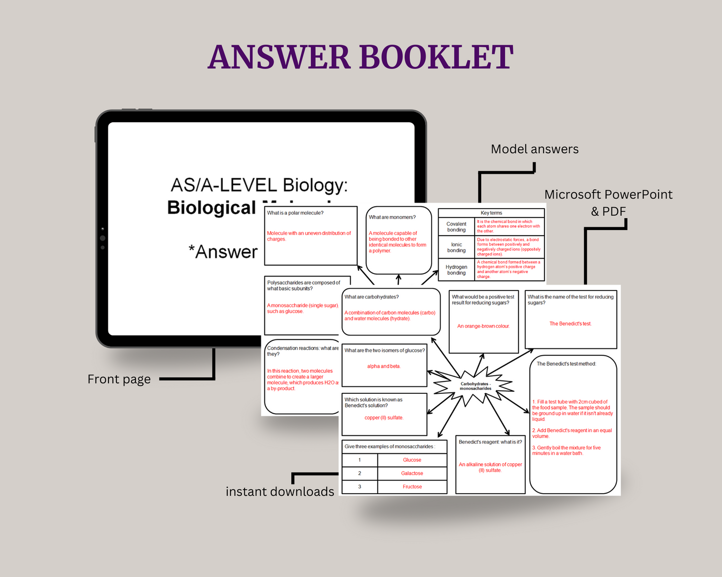 Year 1 A-Level Biology Study Bundle - Mind Maps