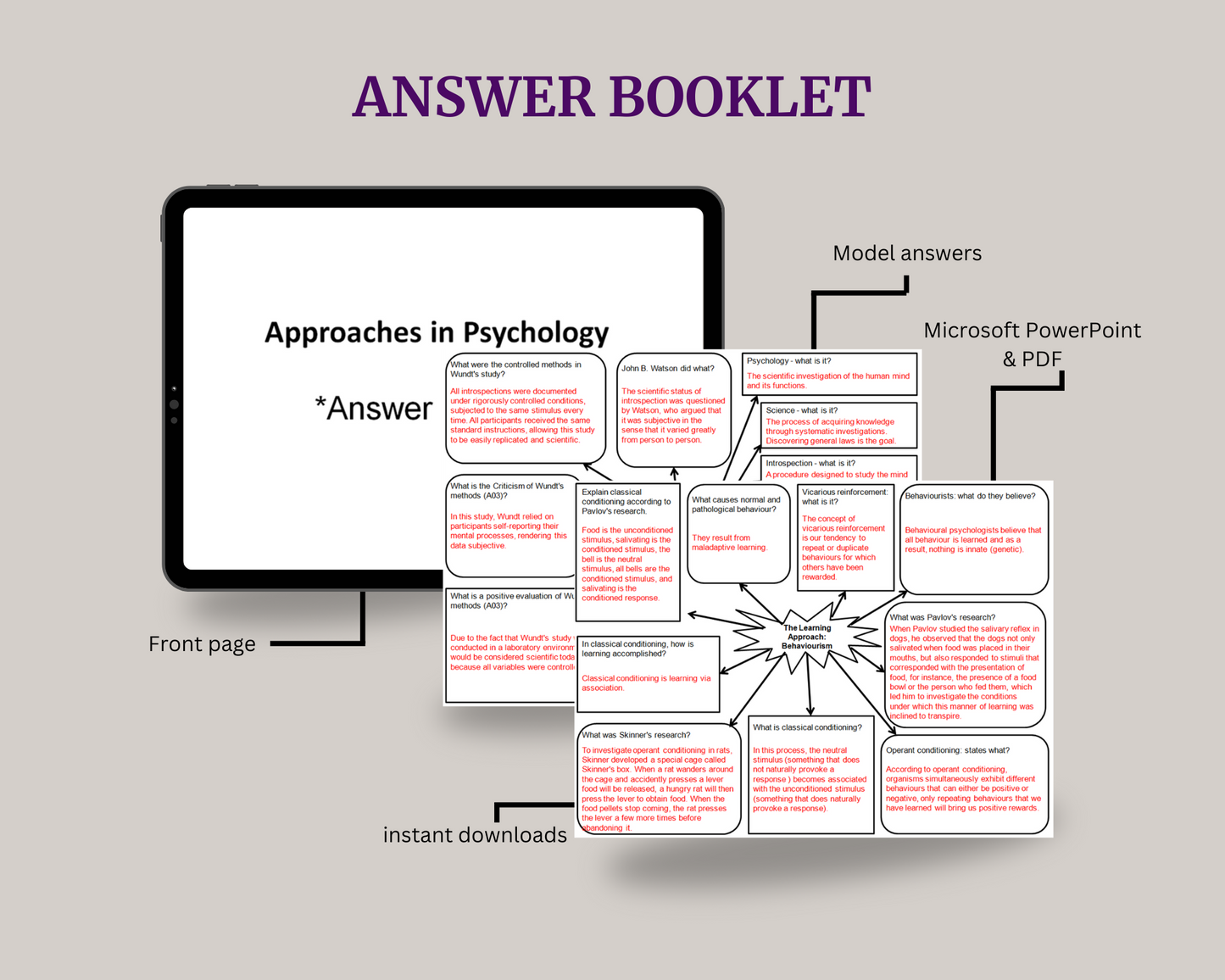 YEAR 2 A-Level Psychology Study Bundle - Mind Maps