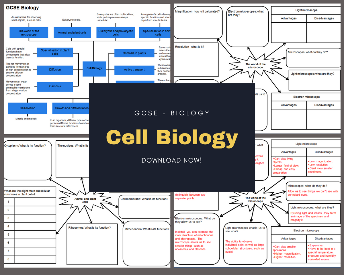 Cell Biology Concept Map Cell Concept Map Template | EdrawMind