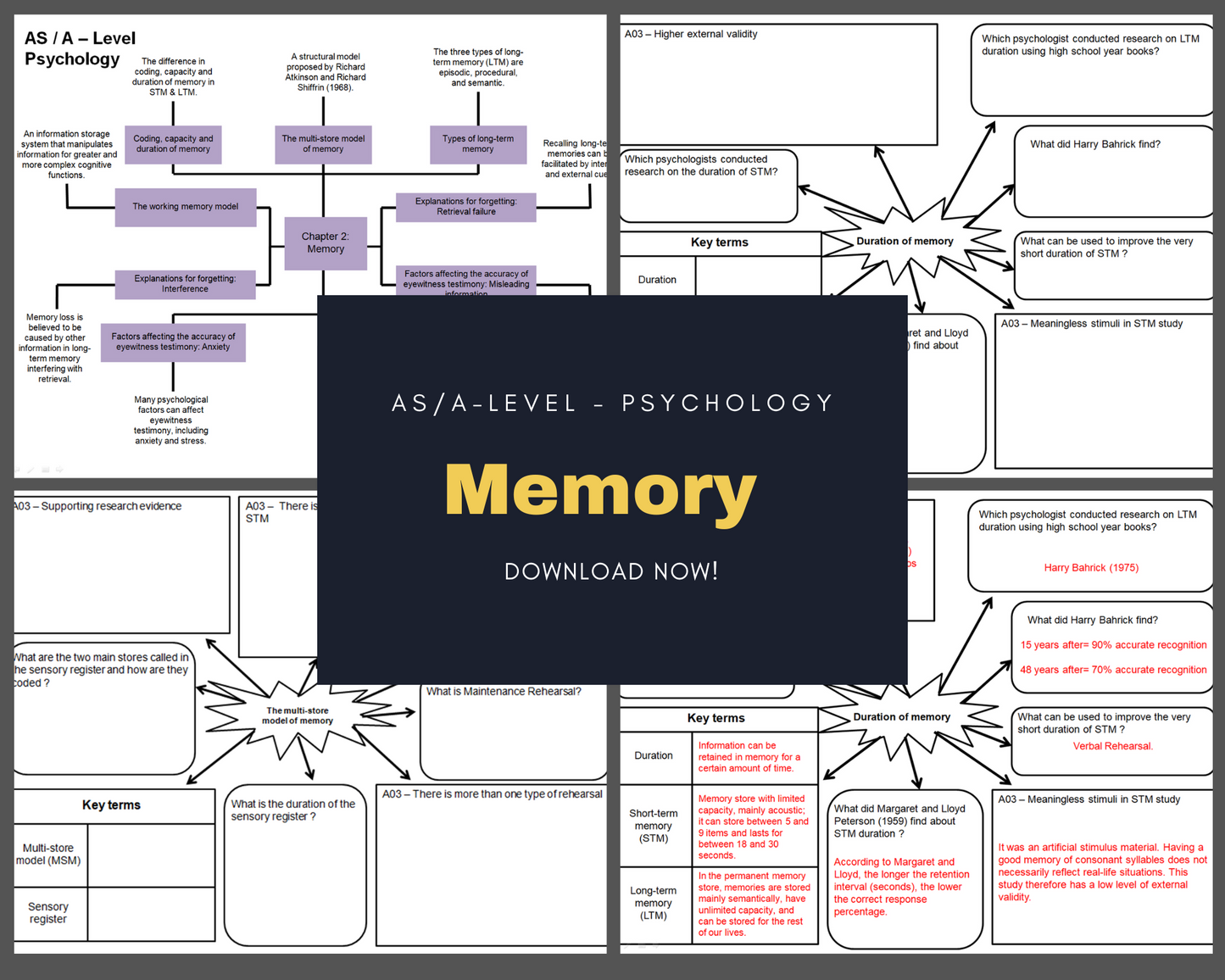 Memory - Mind Maps